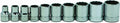 Williams JHWWSB-10RC 3/8-Inch Drive 12 Point SAE Shallow Socket Set with 10-Pieces (5/16" to 7/8"), High-Polished Chrome Finish