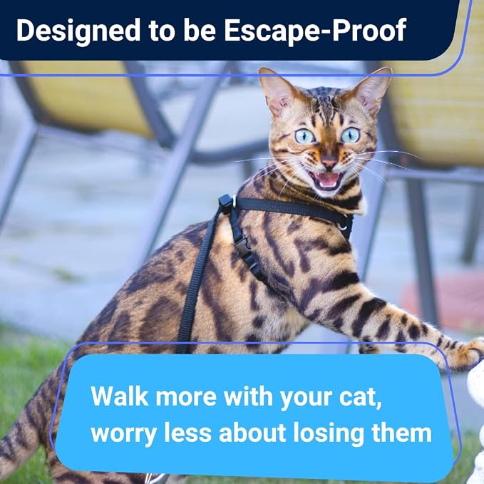 Houdini™ Escape Proof Cat Harness and Leash (V. Leather, XL) | Adjustable walking vest with 6ft lead, premium padded finish, snug secure fit, lightweight for travel and outdoor adventures
