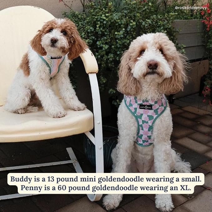 Lucy & Co. Reversible Dog Harness - Water-Repellent Neoprene, Dual-Print Design, Easy Swap Style, Adjustable Comfort Fit - Just Chill Reversible Harness - X-Large