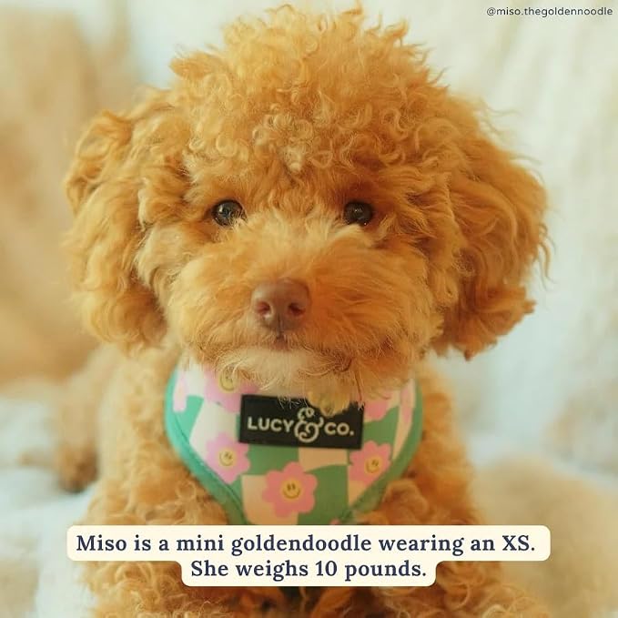 Lucy & Co. Reversible Dog Harness - Water-Repellent Neoprene, Dual-Print Design, Easy Swap Style, Adjustable Comfort Fit - Just Chill Reversible Harness - Large