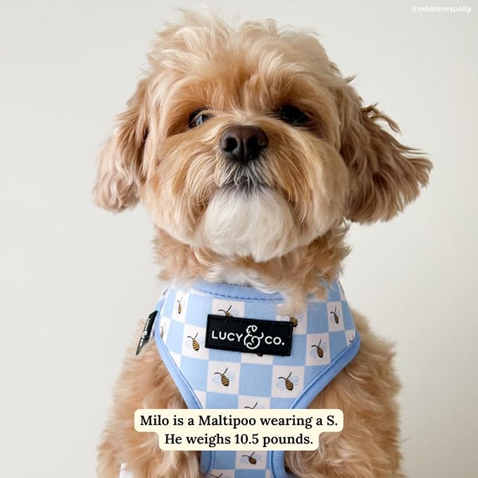 Lucy & Co. Reversible Dog Harness - Water-Repellent Neoprene, Dual-Print Design, Easy Swap Style, Adjustable Comfort Fit - Bumbling Around Reversible Harness - X-Large