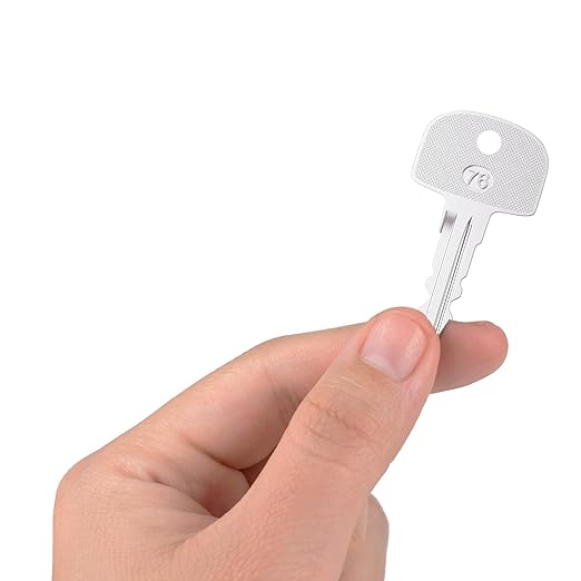 Heavy Ignition Keys, 10Pcs 601 Sany Key fits Sany Mini Excavator Crane Ferris Mower Bluebird School Polaris Snowmobile Broderson and Bus