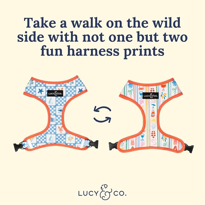 Lucy & Co. Sunny in Sicily Reversible Dog Harness, Adjustable Comfort Fit with Dual Leash Attachments, Large