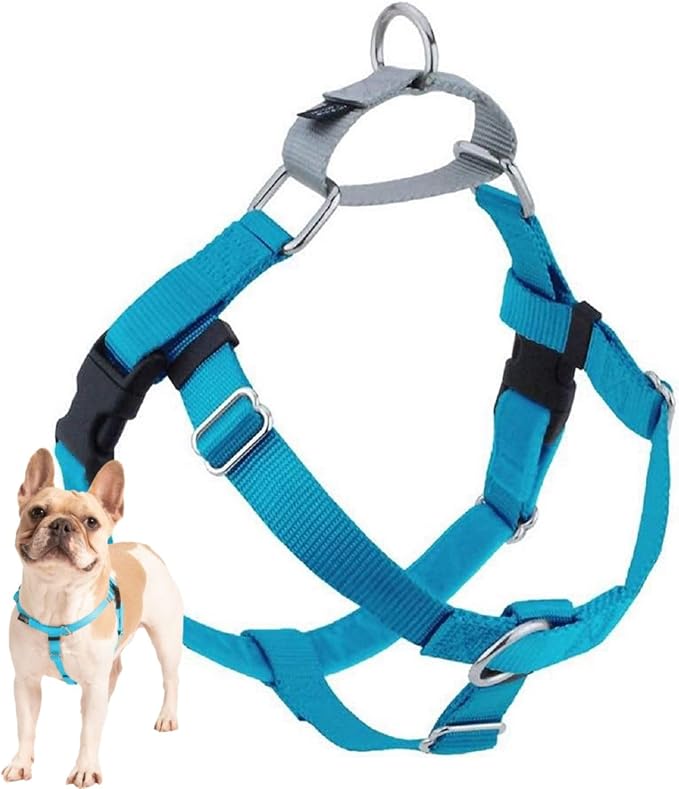 2 Hounds Design Freedom No Pull Dog Harness, 1 inch XL, Turquoise | Discourages Pulling, Comfortable Control Adjustable Dog Harness for Extra Large Sized Dogs, Made in USA (Leash Not Included)