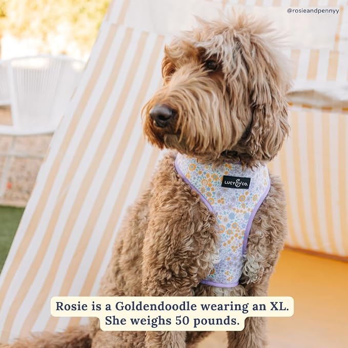Lucy & Co. Reversible Dog Harness - Water-Repellent Neoprene, Dual-Print Design, Easy Swap Style, Adjustable Comfort Fit - Among Wildflowers Reversible Harness - X-Large