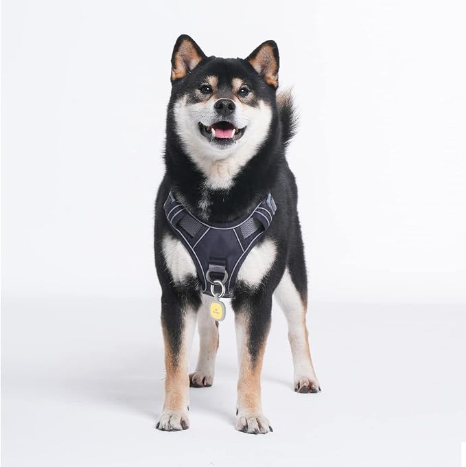 Pawaii Dog Harness with Pet ID Tag, No Choke Dog Harness, Adjustable Soft Padded Pet Vest with Easy Control Handle