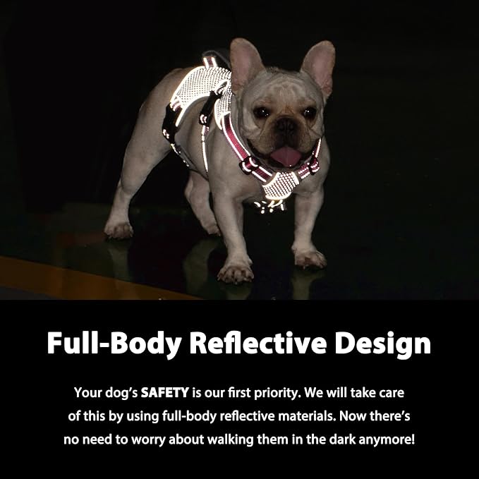 Escape Proof Dog Harness, Dachshund Harness, Reflective Dog Harness with Handle, Durable,Adjustable Vest for Small Medium Large Dogs Walking, Training, and Running Gear (Red,XL)