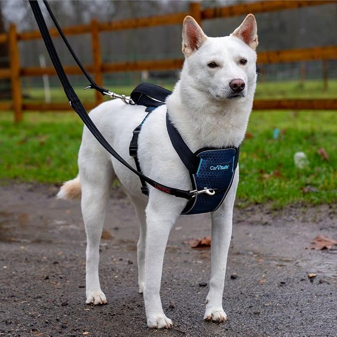 CarSafe Crash Tested Dog Safety Harness | Size M | Crash Tested to 32Kg/70lbs, Safely Secure Dog in the Car, Comfortable and Padded Design, for Toy, Small, Medium & Large Dogs