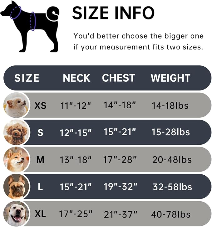 IVY&LANE No Pull Dog Harness for Small Dogs, Dog Vest Harness with Leash, Safety Belt and Storage Strap, Fully Adjustable Harness, 360° Reflective Strip, Soft Handle (Black, XS)