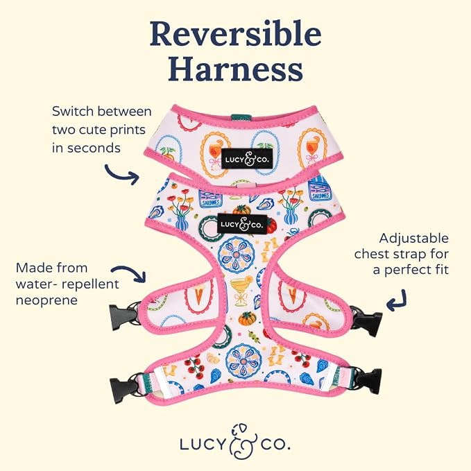 Lucy & Co. Dolce Vita Reversible Dog Harness, Adjustable Comfort Fit with Dual Leash Attachments, Medium