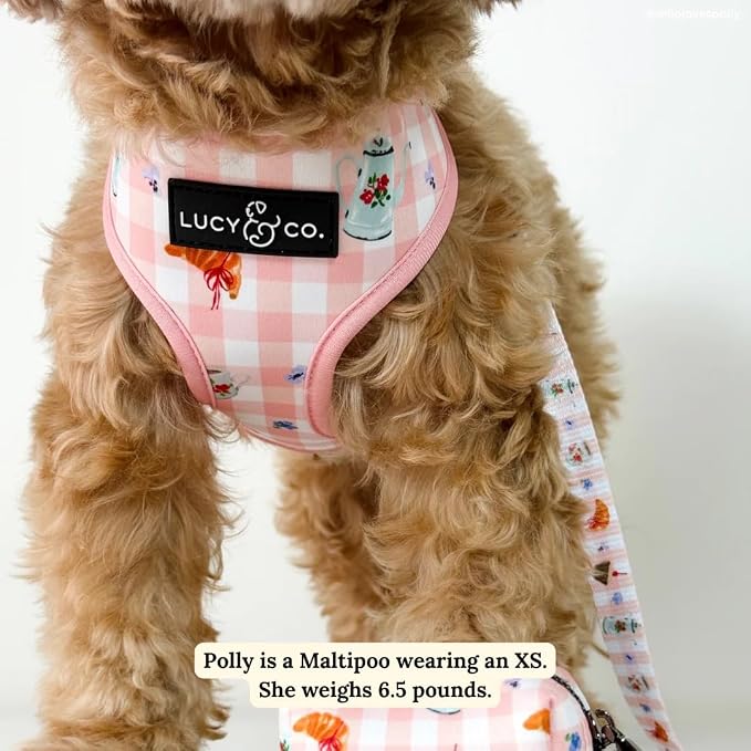 Lucy & Co. Reversible Dog Harness - Water-Repellent Neoprene, Dual-Print Design, Easy Swap Style, Adjustable Comfort Fit - Sipping Slowly Reversible Harness - Medium