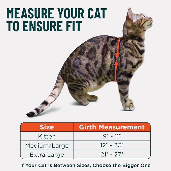 Houdini™ Escape Proof Cat Harness and Leash (Black, M/L) | Adjustable walking vest with 6ft lead, premium padded finish, snug secure fit, lightweight for travel and outdoor adventures