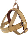 EzyDog Quick Fit Dog Harness, Soft Neoprene Padding - X-Small, Corduroy | Fast One-Click Buckle, Adjustable Fit, Strong Reinforced Materials, Reflective Stitching, No Pull Dog Harness, Easy Walking