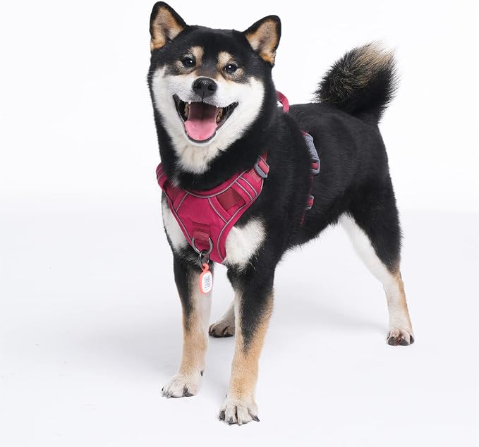 Pawaii Dog Harness for Large Dogs, No Choke Dog Harness, Adjustable Soft Padded Pet Vest with Easy Control Handle and Anti-lost Digital ID Tag