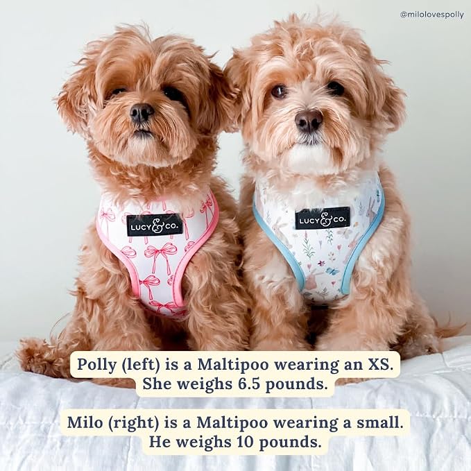 Lucy & Co. Reversible Dog Harness - Water-Repellent Neoprene, Dual-Print Design, Easy Swap Style, Adjustable Comfort Fit - Take a Bow Reversible Harness - X-Small