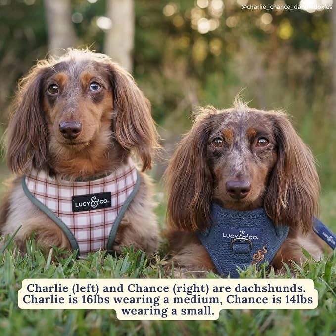 Lucy & Co. Reversible Dog Harness - Water-Repellent Neoprene, Dual-Print Design, Easy Swap Style, Adjustable Comfort Fit - Camp Out Reversible Harness - Large