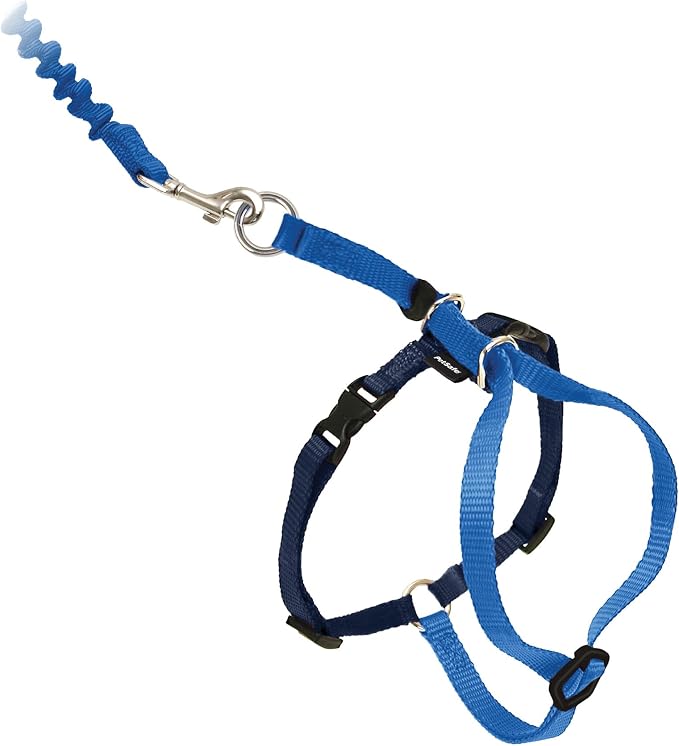 PetSafe Come with Me Kitty Harness and Bungee Cat Leash, Royal Blue, Large | Adjustable 2-Point Fit Applies Gentle Pressure to Shoulders, Not Neck, for Average and Large Cats with 13 in - 18 in Girth