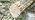 1" x 9" Auger Drill Bit for Wood, 26x230mm Hex Shank Ship Auger Bit