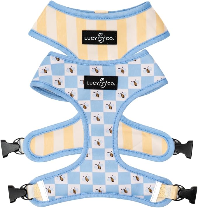 Lucy & Co. Reversible Dog Harness - Water-Repellent Neoprene, Dual-Print Design, Easy Swap Style, Adjustable Comfort Fit - Bumbling Around Reversible Harness - X-Large