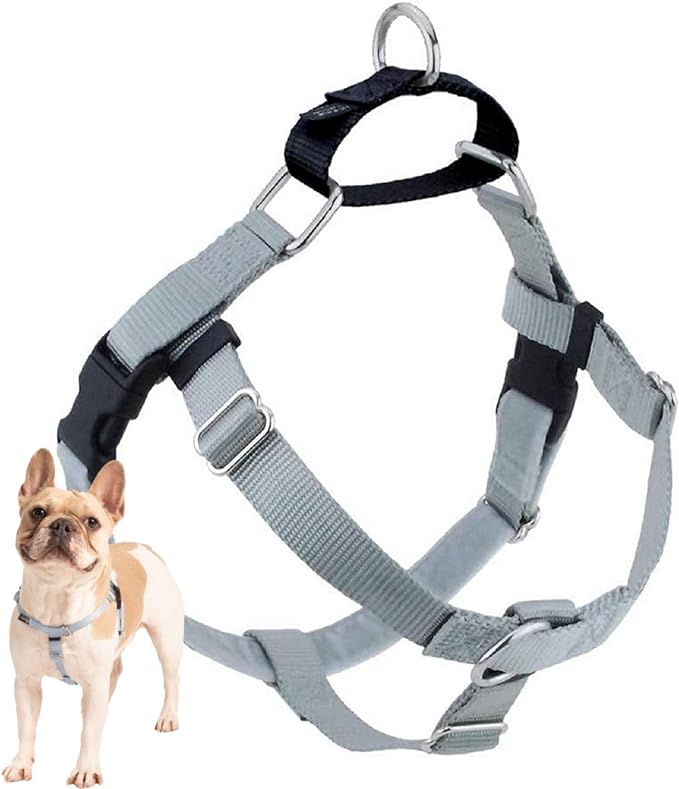 2 Hounds Design Freedom No Pull Dog Harness, 5/8 inch XS, Silver | Discourages Pulling, Comfortable Control Adjustable Dog Harness for Extra Small Sized Dogs, Made in USA (Leash Not Included)