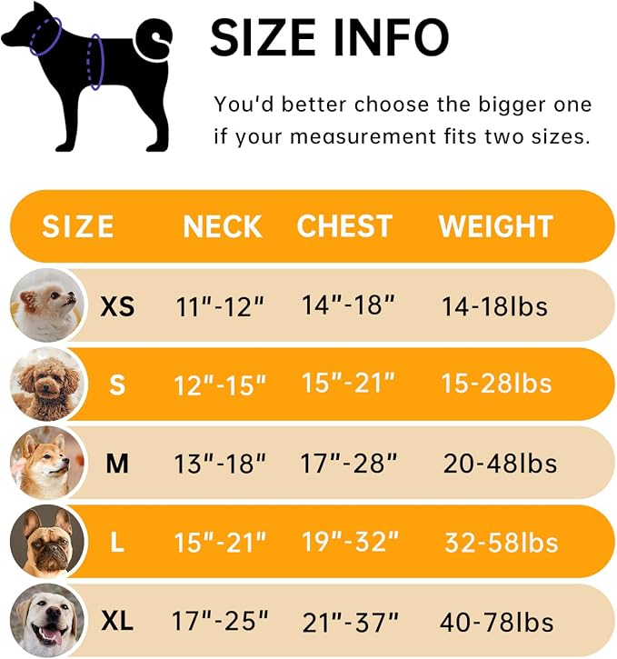 IVY&LANE No Pull Dog Harness for Large Dogs, Dog Vest Harness with Leash, Safety Belt and Storage Strap, Fully Adjustable Harness, 360° Reflective Strip, Soft Handle (Orange, L)