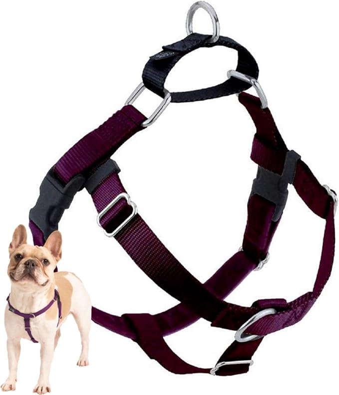 2 Hounds Design Freedom No Pull Dog Harness, 1 inch XL, Burgundy | Discourages Pulling, Comfortable Control Adjustable Dog Harness for Extra Large Sized Dogs, Made in USA (Leash Not Included)