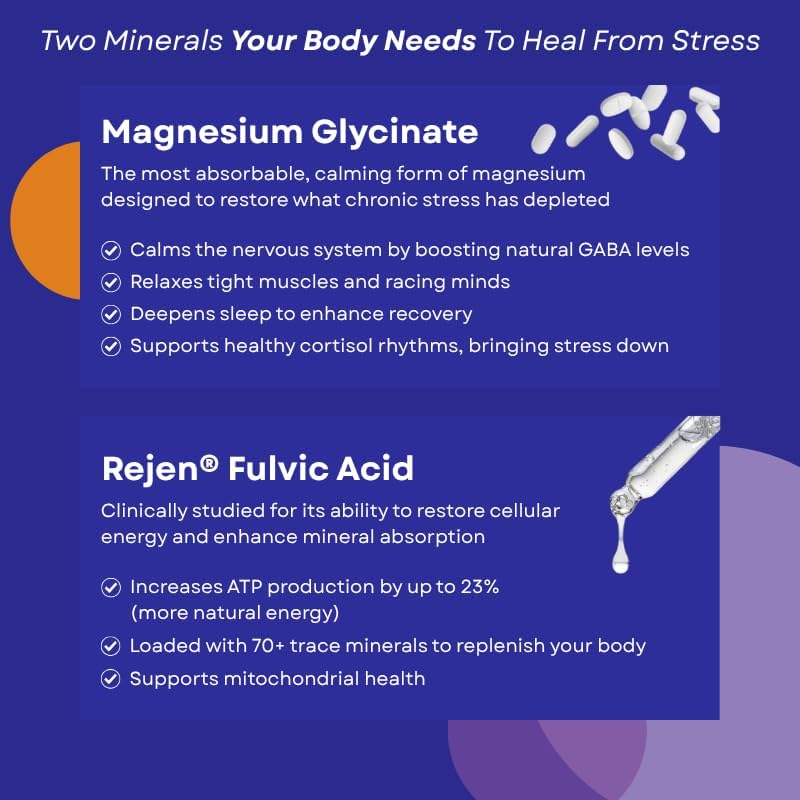 GLDN Magnesium Liquid Syrup - Nighttime Magnesium Glycinate with Rejen Fulvic Acid for Improved Absorption Key Electrolytes and L-Theanine for Sleep and Cortisol Support - Peach Iced Tea (16 fl.oz)