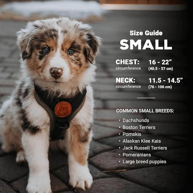 Wilderdog Lightweight Dog Harness with Reflective Straps - Small - Pacific Blue