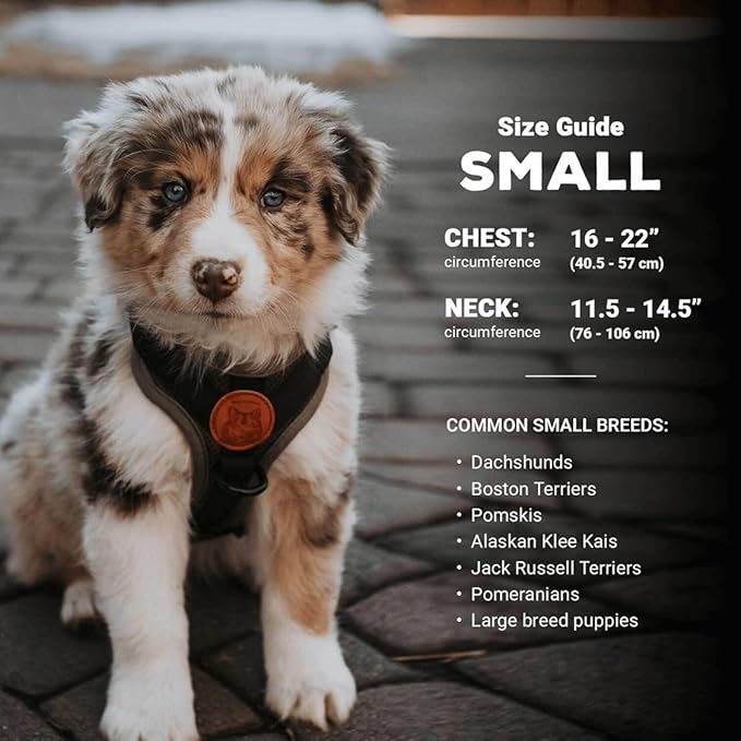 Wilderdog Lightweight Dog Harness with Reflective Straps - Small - Huckleberry