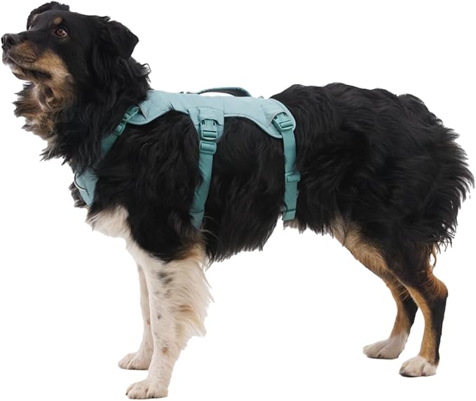 Ruffwear, Web Master, Multi-Use Support Dog Harness, Hiking and Trail Running, Service and Working, Everyday Wear, Basalt Gray, Large/X-Large