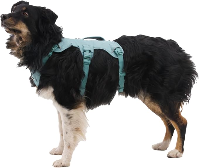 Ruffwear, Web Master, Multi-Use Support Dog Harness, Hiking and Trail Running, Service and Working, Everyday Wear, River Rock Green, XX-Small