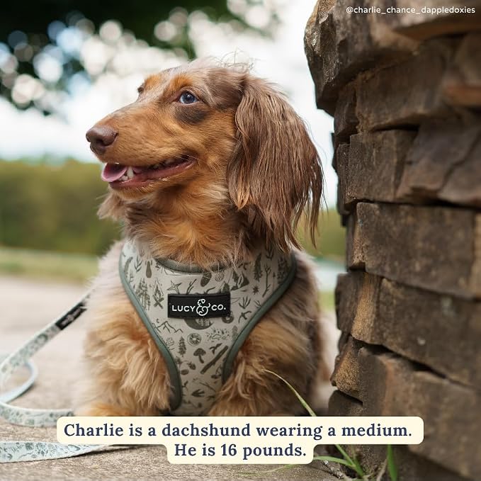 Lucy & Co. Reversible Dog Harness - Water-Repellent Neoprene, Dual-Print Design, Easy Swap Style, Adjustable Comfort Fit - Camp Out Reversible Harness - Large