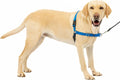 PetSafe Easy Walk Harness, No Pull Dog Harness, Royal Blue, Large | Patented Martingale Loop Gives Gradual Shoulder Pressure to Stop Pulling, Front-Chest Leash Clip Prevents Gagging