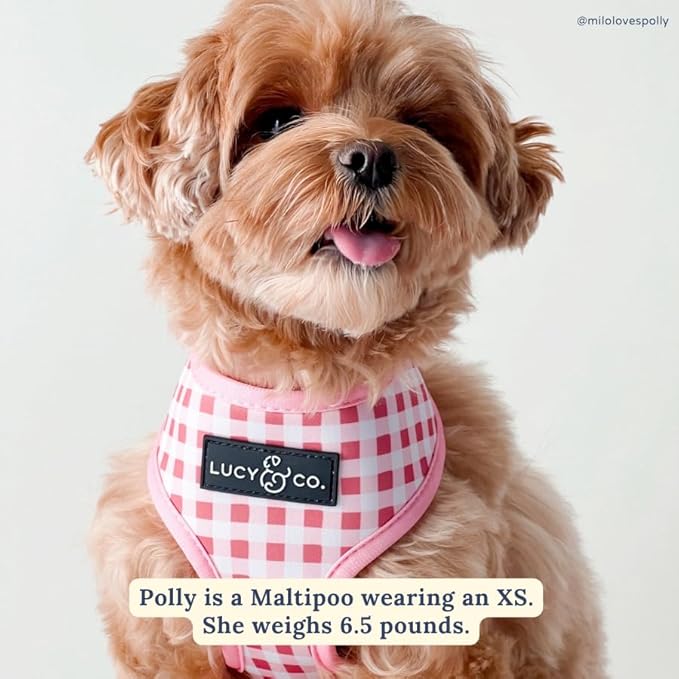 Lucy & Co. Reversible Dog Harness - Water-Repellent Neoprene, Dual-Print Design, Easy Swap Style, Adjustable Comfort Fit - Take a Bow Reversible Harness - X-Large