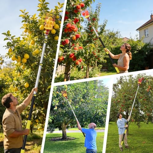 26FT Reach Fruit Picker with Basket, Apple Picking Tool Telescoping Pole, Long-Handle Mango Grabber, Tree Fruit Catcher for Harvesting Lemon Pear Orange Avocado Peach Citrus Grapefruit
