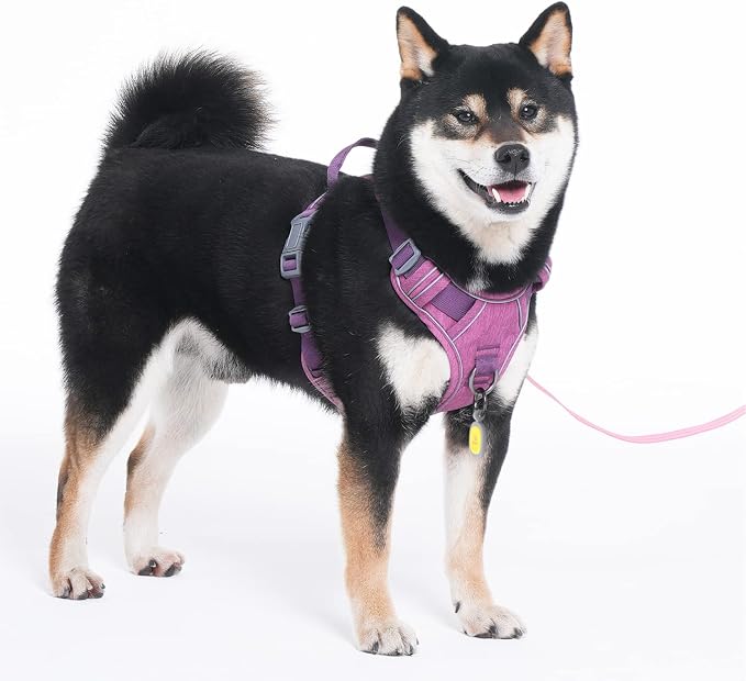 Pawaii No Pull Dog Harness with Pet ID Tag, Reflective Vest