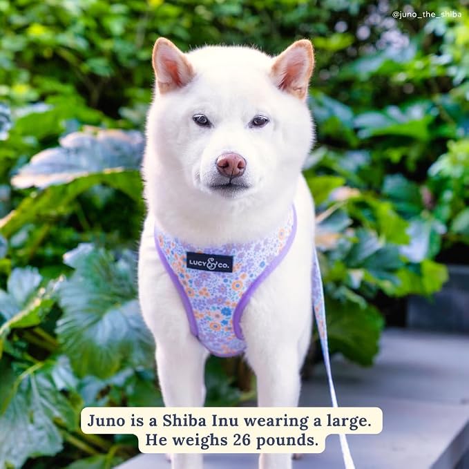 Lucy & Co. Reversible Dog Harness - Water-Repellent Neoprene, Dual-Print Design, Easy Swap Style, Adjustable Comfort Fit - Among Wildflowers Reversible Harness - X-Large