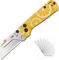 CJRB Boxer Pocket Folding Utility Knife, EDC Knife with 10PCS Total Blades, Small Pocket Knife with G10 Handle for Men Women(J1967 Lemon Yellow)