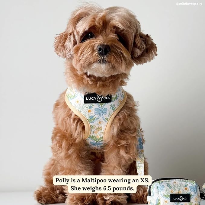 Lucy & Co. Reversible Dog Harness - Water-Repellent Neoprene, Dual-Print Design, Easy Swap Style, Adjustable Comfort Fit - Sunshine Daffodils Reversible Harness - Small