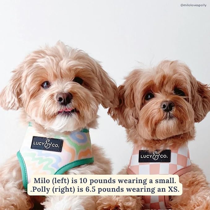 Lucy & Co. Reversible Dog Harness - Water-Repellent Neoprene, Dual-Print Design, Easy Swap Style, Adjustable Comfort Fit - Just Chill Reversible Harness - Medium