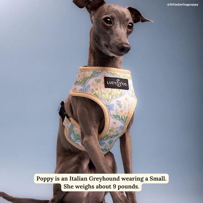 Lucy & Co. Reversible Dog Harness - Water-Repellent Neoprene, Dual-Print Design, Easy Swap Style, Adjustable Comfort Fit - Sunshine Daffodils Reversible Harness - X-Small