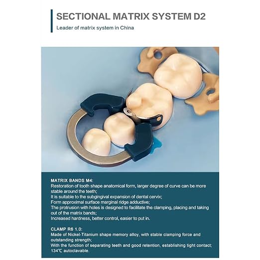 Dental Sectional Matrix System, R6 Nickel Titanium Dental Matrices Clamp Clip Ring, Sectional Contoured Matrix Ring, Autoclavable Dentistry Tools