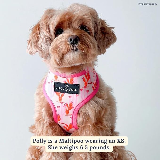 Lucy & Co. Reversible Dog Harness - Water-Repellent Neoprene, Dual-Print Design, Easy Swap Style, Adjustable Comfort Fit - Howdy Honey Reversible Harness - Medium