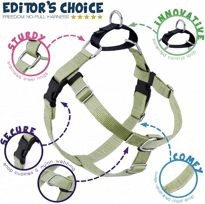 2 Hounds Design Freedom No Pull Dog Harness and Leash, 1" LG, Tan | Promotes Easy Walking & Comfortable Control, Secure Fit, Adjustable Harness and Leash Set for Large Sized Dogs, Made in USA