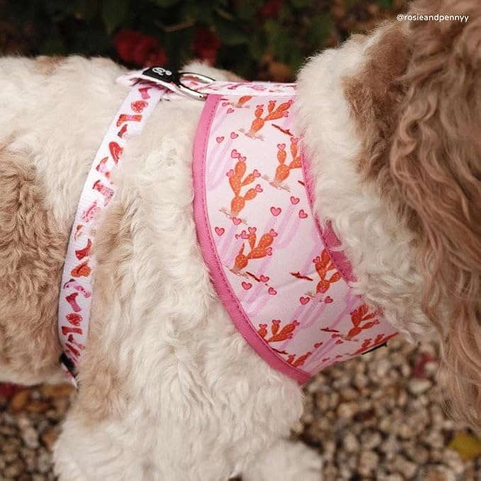 Lucy & Co. Reversible Dog Harness - Water-Repellent Neoprene, Dual-Print Design, Easy Swap Style, Adjustable Comfort Fit - Howdy Honey Reversible Harness - Small