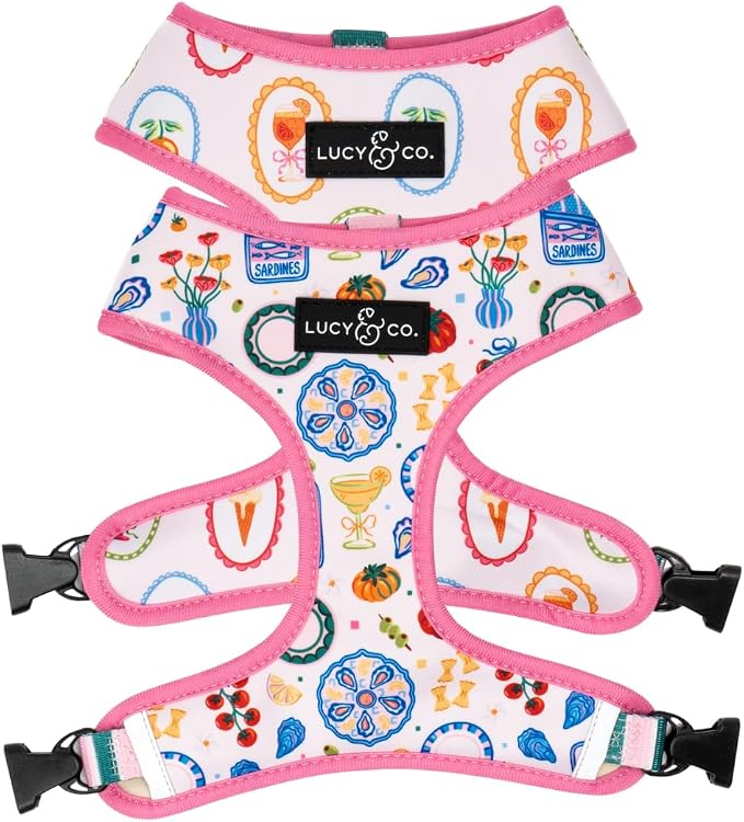 Lucy & Co. Dolce Vita Reversible Dog Harness, Adjustable Comfort Fit with Dual Leash Attachments, Medium