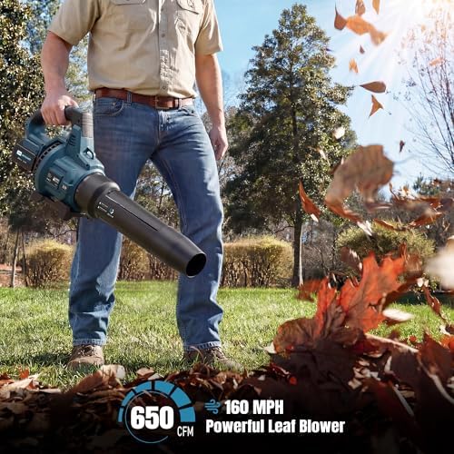 LOSART Leaf Blower Cordless, 650CFM & 3 Speed Levels, Electric Cordless Leaf Blower with 2x5.0Ah Battery Powered, Blowers for Lawn Care, Yard, Blowing Leaves, Dust, Snow(Blue)