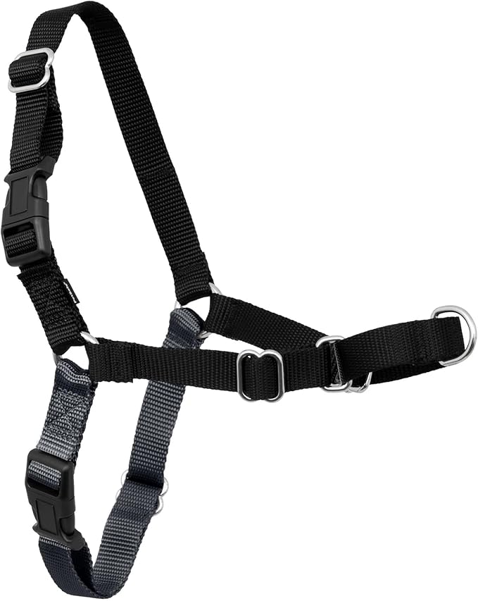 PetSafe Easy Walk Harness, No Pull Dog Harness, Charcoal Gray, Large | Patented Martingale Loop Gives Gradual Shoulder Pressure to Stop Pulling, Front-Chest Leash Clip Prevents Gagging