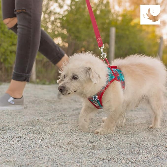RC Pets Step in Cirque Harness for Dogs | XX-Small, Maze