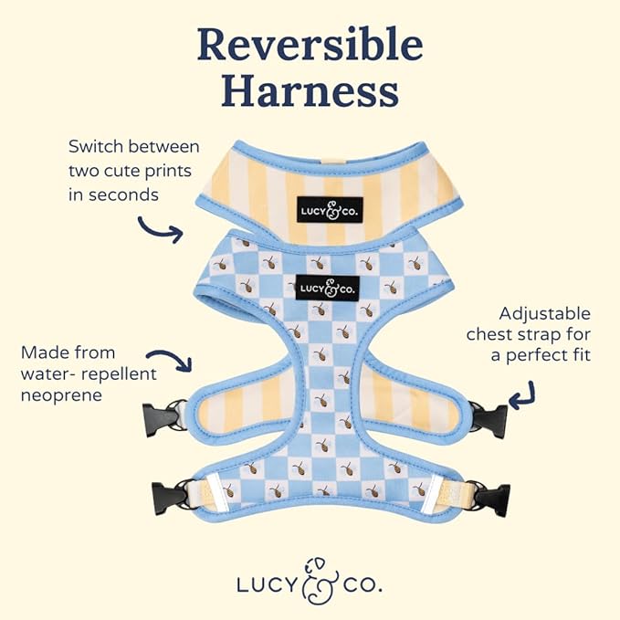 Lucy & Co. Reversible Dog Harness - Water-Repellent Neoprene, Dual-Print Design, Easy Swap Style, Adjustable Comfort Fit - Bumbling Around Reversible Harness - X-Large